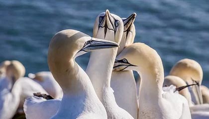 九州娱乐平台|企业运动会v2.1.6