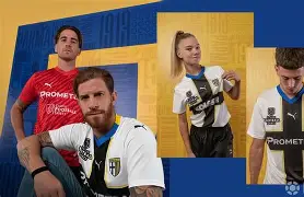 帕尔马主场击倒对手,领跑积分榜的简单介绍 帕尔马主场击倒对手,领跑积分榜的简单介绍