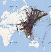 灰熊经过次技术统计近期崭露头角的简单介绍