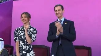 向僵尸开炮每击杀一只怪后防线回血宝石