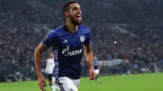 向僵尸开炮每击杀一只怪后防线回血宝石